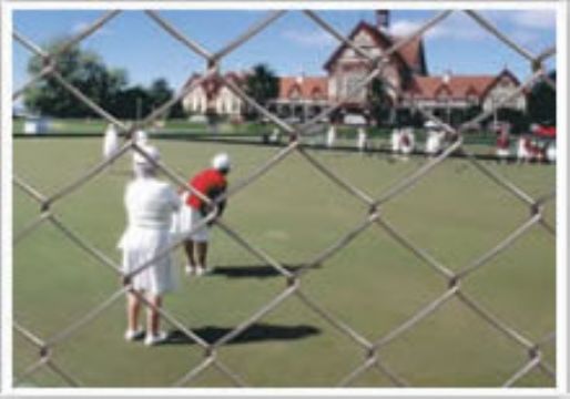 Chain Link Fence